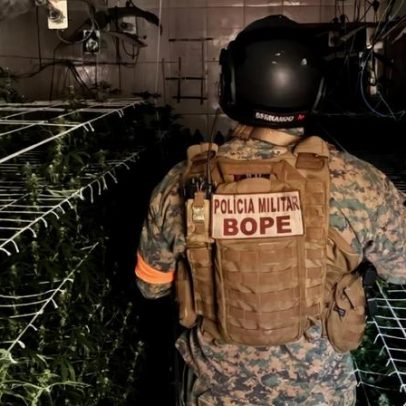 Bope encontra 128 pés de maconha em estufa durante operação contra TCP