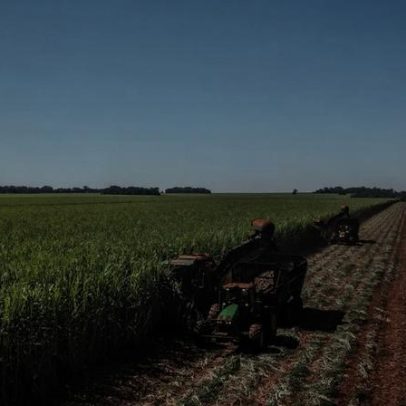 Preço do etanol cai em maio, mas benefício varia por estado; veja lista