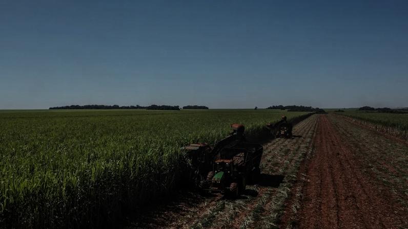 Colheita de cana-de-açúcar em usina de Goiás