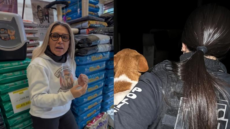 Paula Lopes arrecadava fundos para proteção animal ao mesmo tempo em que autorizava eutanásias sem motivo
