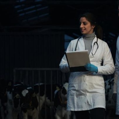 Exercício ilegal da medicina veterinária vira crime no Brasil com penas