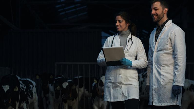 Atividade veterinária não pode ser exercida por profissional não habilitado
