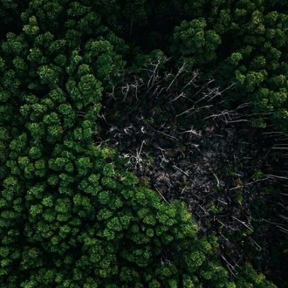 Mudanças climáticas tornam Amazônia mais frágil ao desmatamento