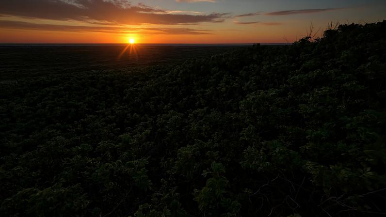 Os projetos serão avaliados com base em inovação, impacto, replicabilidade e justiça climática