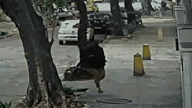 Mulher é 'engolida' por bueiro após tampa ceder no Rio de Janeiro