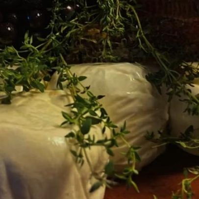 Burrata com tapenade de azeitona ganha destaque no menu