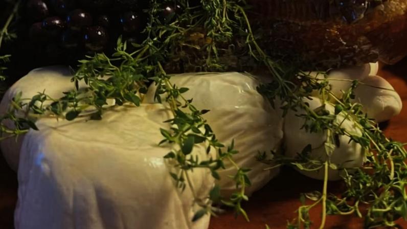 Burrata com tapenade de azeitona — Foto: Hugo Rocha
