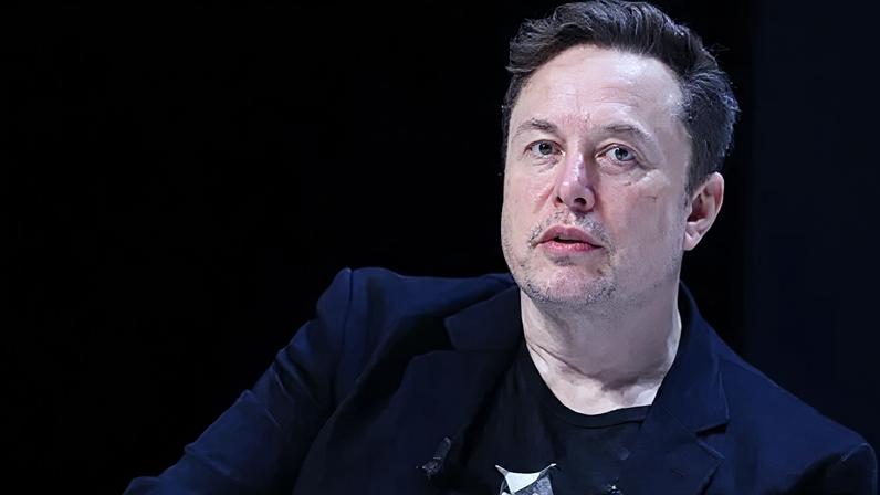 Elon Musk during the Cannes Lions International Festival Of Creativity 2024.