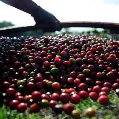 Tarifa de 25%: EUA isentam alguns produtos brasileiros