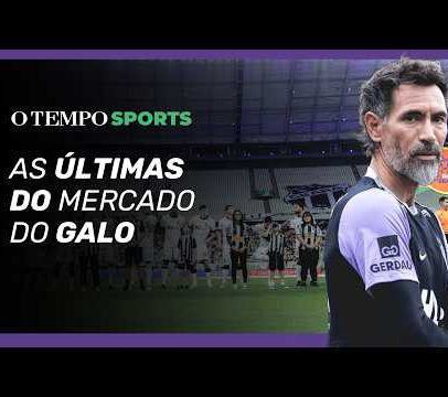 Mercado do galo: preços e tendências do setor em atualização