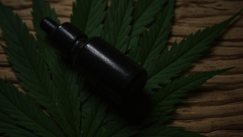 A cannabis medicinal é um produto obtido pela extração dos canabinoides, substâncias presentes na Cannabis sativa