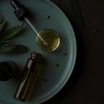 Estudo aponta que cannabis alivia dor e melhora qualidade de vida