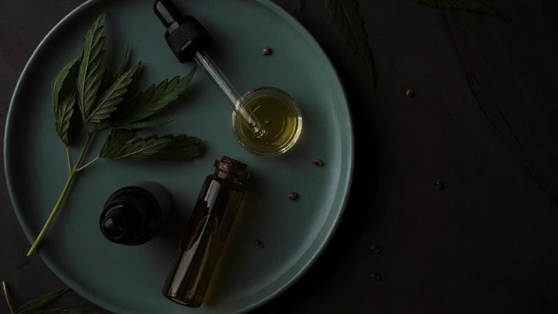 MAIS ENERGIA - Maior estudo já realizado nos EUA com pacientes de Cannabis reforça indícios de eficácia no alivio da dor crônica