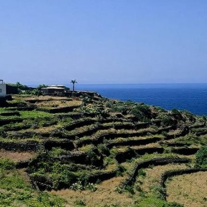 Vinhos italianos de DOs pouco conhecidos que valem a descoberta