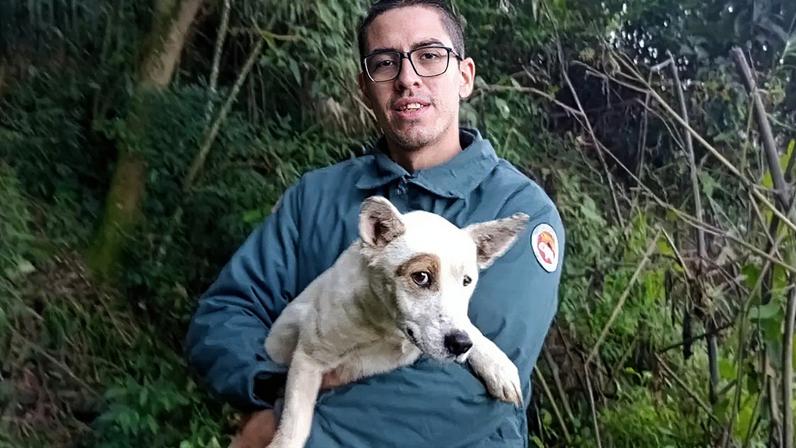 Após quatro dias preso em penhasco, cachorro é resgatado em SC