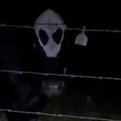 Vaca nos EUA viraliza após alegação de origem extraterrestre
