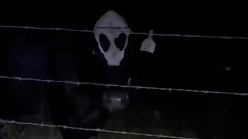 Vaca alienígena é filmada