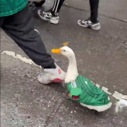 Pato com camisa do México vira sensação na Copa do Mundo 2026