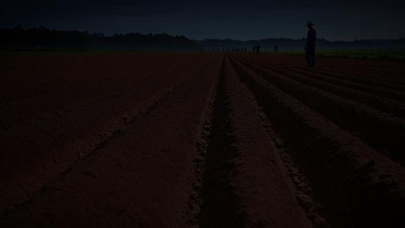 Carlos Gomes investe R$ 159,4 mil em novos equipamentos agrícolas