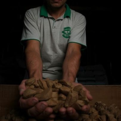 Banco do Brasil amplia sociobioeconomia para crédito a 12 mil famílias