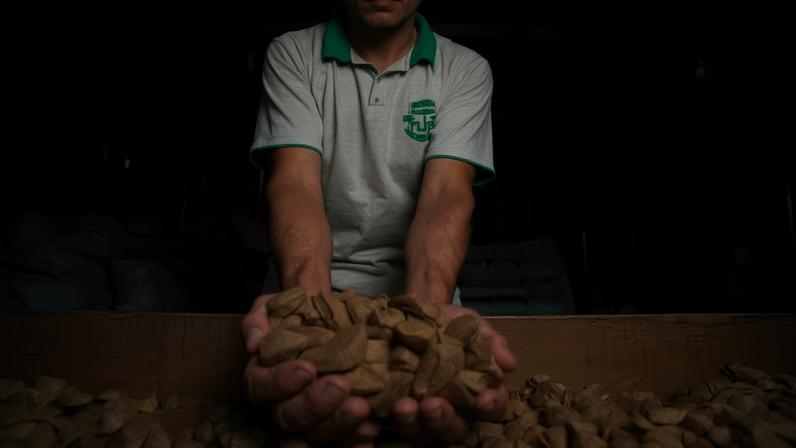 Ideia é priorizar cadeias produtivas que integram geração de renda, conservação ambiental e inclusão