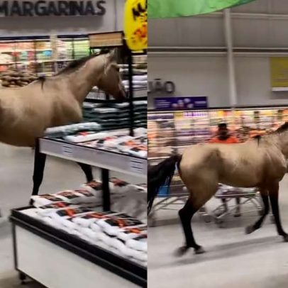 Cavalo é flagrado trotando em supermercado no Recife e viraliza