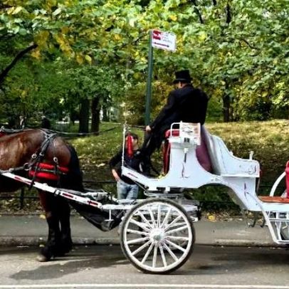 Carruagens do Central Park podem não ter mais lugar em Nova York