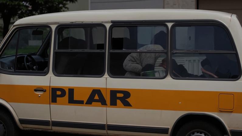 Imagem colorida,vídeo flagra cavalos sendo transportados em um ônibus escolar- Metrópoles