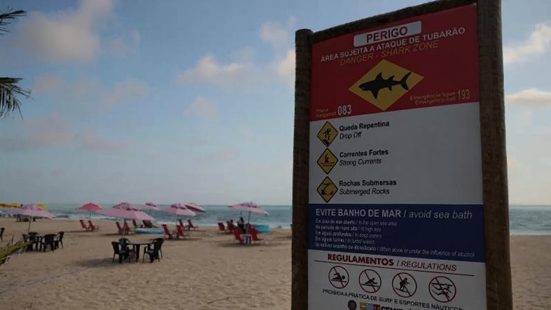 CEMIT substitui placas de alerta de risco de incidentes com tubarões na orla do Grande Recife