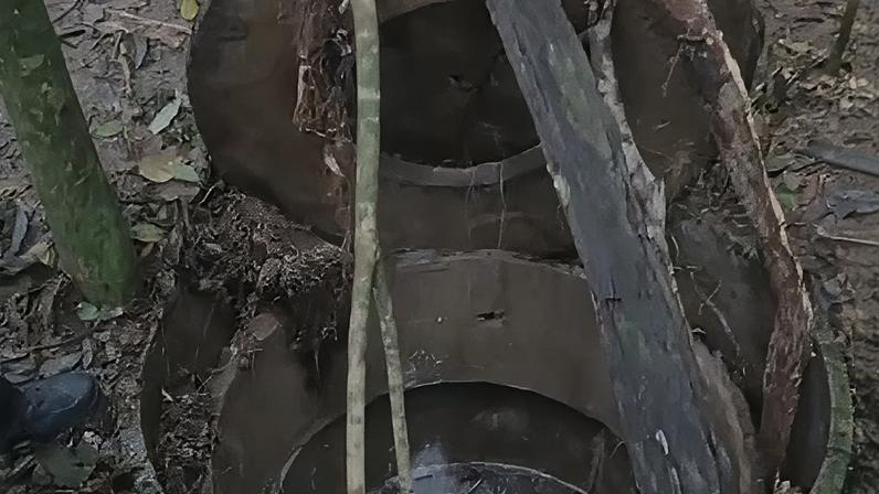 Polícia descobre cemitério clandestino em comunidade do Rio de Janeiro