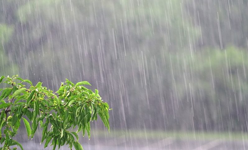 Sudeste e Centro-Oeste acumularam volumes de chuva muito acima do normal na primeira quinzena de junho de 2026 (Foto: Getty Images)