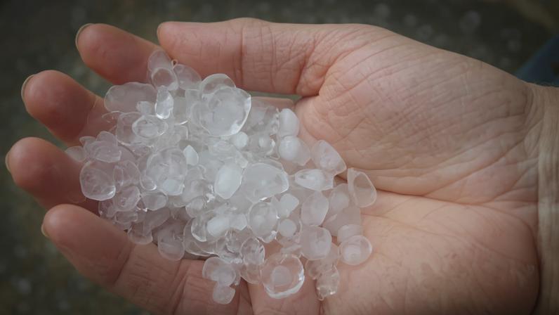 Chuva forte atingiu diferentes regiões do estado de São Paulo e o temporal provocou queda de árvores, danos em imóveis e falta de energia - Metrópoles
