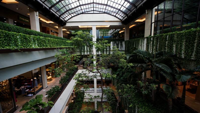 Shopping Cidade Jardim (Divulgação)