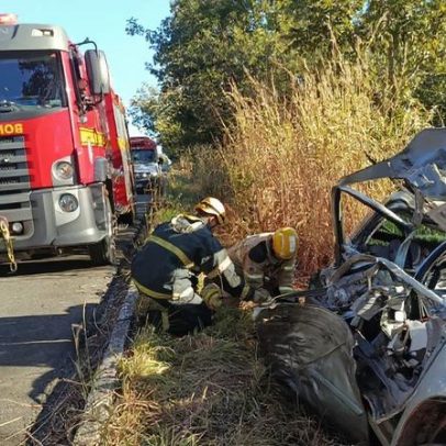 Adolescente e criança morrem após carro bater em árvore na BR-365, MG