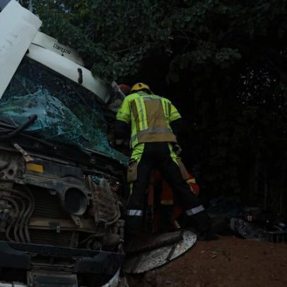 Carreta perde freios, bate em árvore e motorista fica preso às ferragens