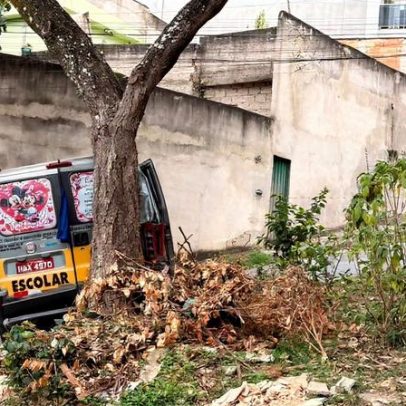 Motorista perde controle de van escolar ao evitar colisão em morro de BH