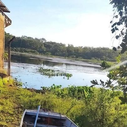 Homem morre afogado ao fugir de ataque de abelhas em lagoa de MG
