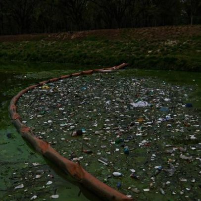 PBH abre consulta para recuperar a Lagoa da Pampulha