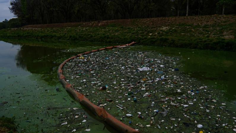 Água esverdeada e poluída na Lagoa da Pampulha em Belo Horizonte