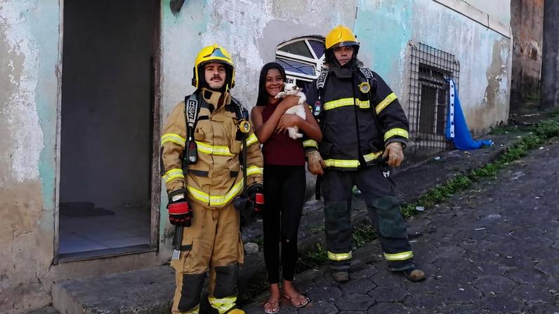 O felino foi encontrado escondido debaixo da cama, em um dos quartos