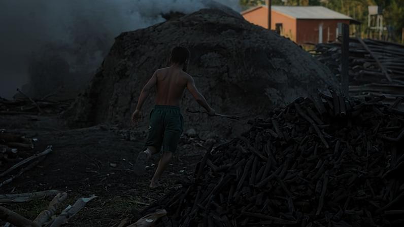 O trabalho infantil em atividades como carvoaria, por exemplo, causa danos irreversíveis