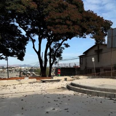 PBH é denunciada por irregularidade em transplante de ipês na praça do Barreiro