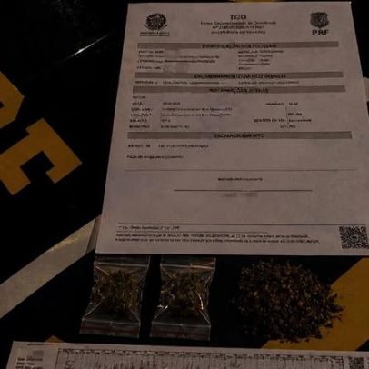 PRF flagra motorista de rodotrem dirigindo por mais de 24h com maconha em MG