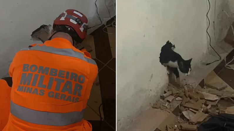 Após a intervenção dos militares, o gato conseguiu sair sozinho do local sem ferimentos aparentes