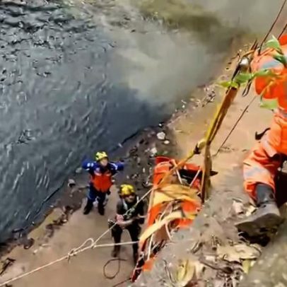 Potro cai no Rio Arrudas em BH e é resgatado pelos bombeiros