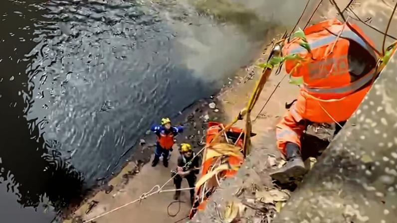 O filhote de cavalo foi içado do rio até o nível da avenida