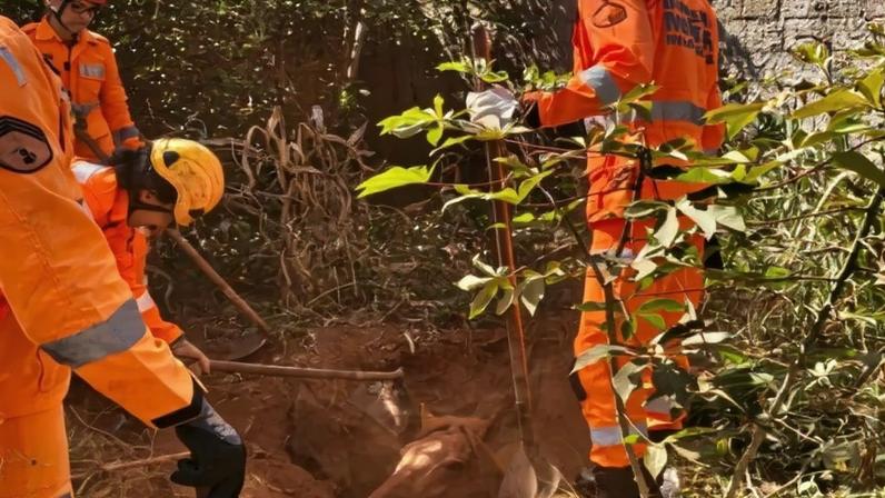Tampa de fossa teve que ser escavada para que animal conseguisse sair sozinho