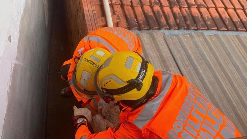 Diante da situação, a equipe utilizou técnicas de salvamento para realizar a retirada segura do cachorro
