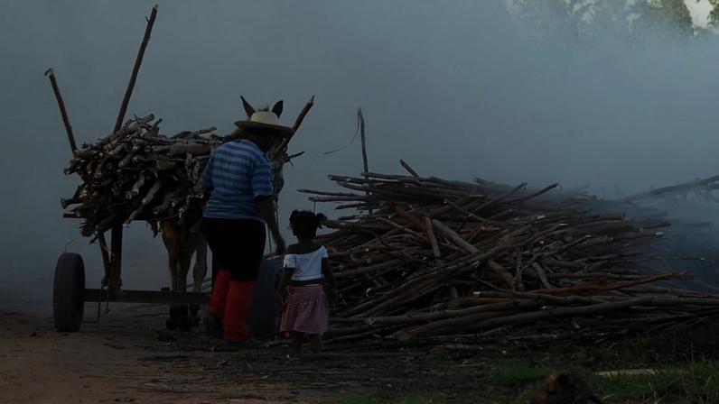 Dados do IBGE apontam que cerca de 1,65 milhão de crianças e adolescentes trabalham no Brasil; em MG, estimativa é de 167 mil