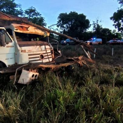 Carreta colide com árvore e deixa dois feridos em Unaí, MG